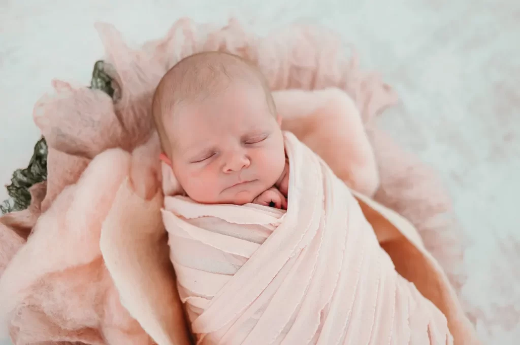 cape cod photographercaryn scanlan nettleton newborn 37
