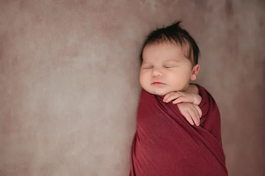 caryn scanlan boston newborn photographer pounds65 hero