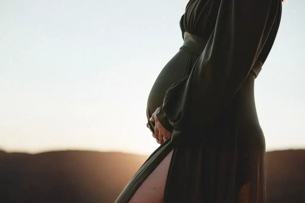carynscanlan maternity schmidt newhampshire9