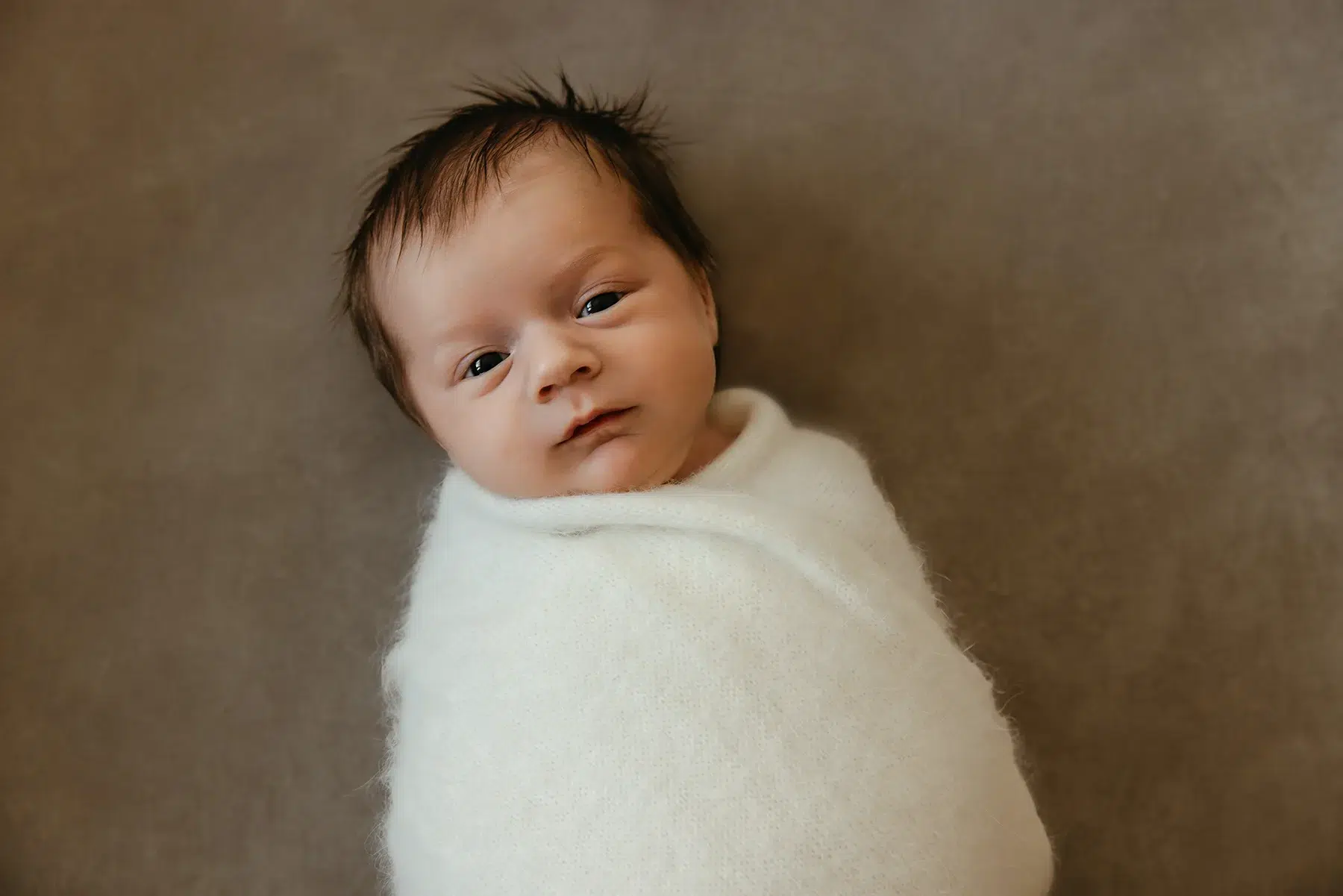 Cape Cod Family & Maternity Photographer 8 Cape Cod Newborn Photographer photo of a 6-day old newborn wrapped on a brown backdrop by Caryn Scanlan