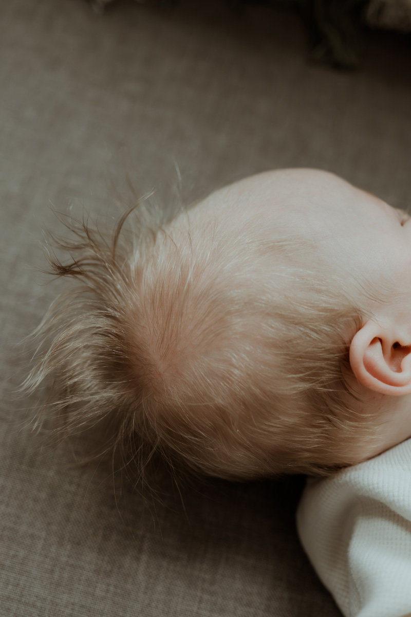 carynscanlan Fleck3mth25 24